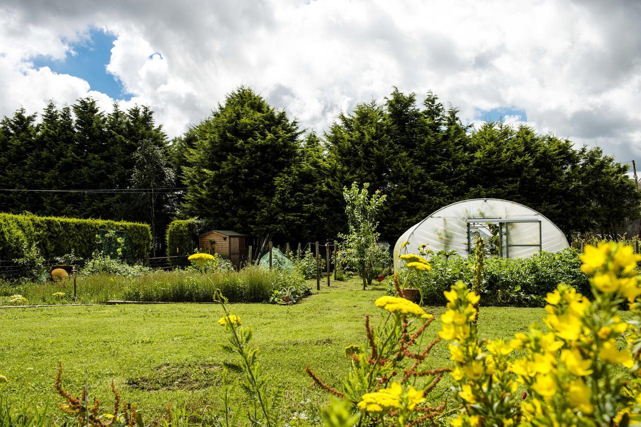 Peartree Hill Bed & Breakfast Dundonald  Exterior photo