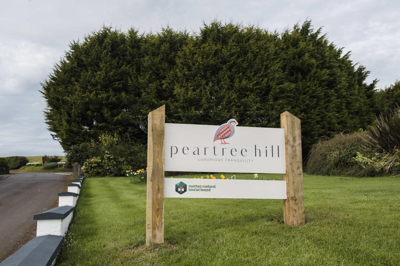 Peartree Hill Bed & Breakfast Dundonald  Exterior photo